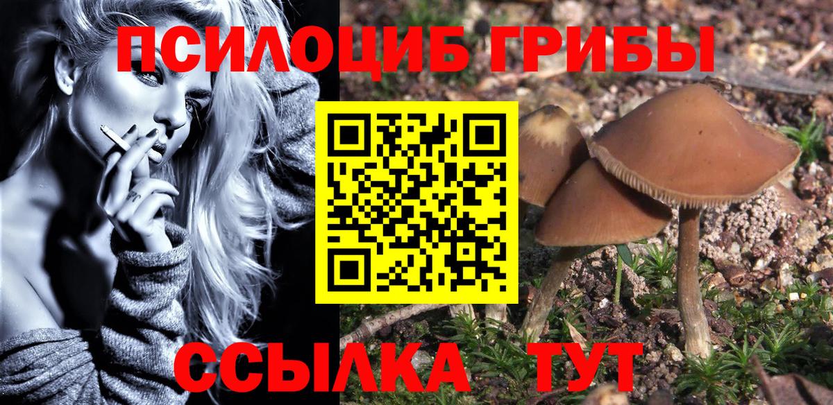 Галлюциногенные грибы MAGIC MUSHROOMS  Вход с VPN  Тулун  Псилоцибиновые грибы Psilocybine cubensis 