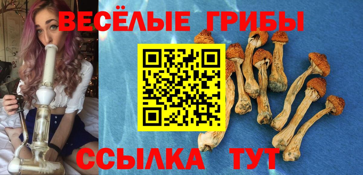 Псилоцибиновые грибы прущие грибы Тулун